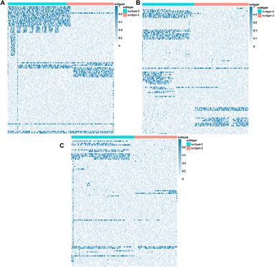 MultiGATAE: A Novel Cancer Subtype Identification Method Based on Multi-Omics and Attention Mechanism